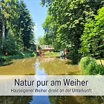 Lägenhet Bootshaus Froschkoenig Uebernachten Ueber Dem Weiher Hundsdorf