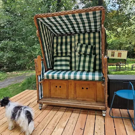 Bootshaus Froschkoenig Uebernachten Ueber Dem Weiher *