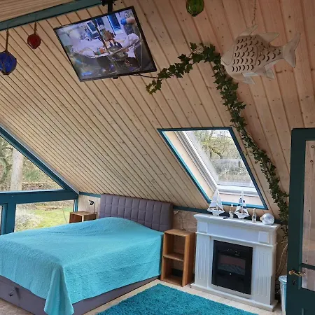 Bootshaus Froschkoenig Uebernachten Ueber Dem Weiher