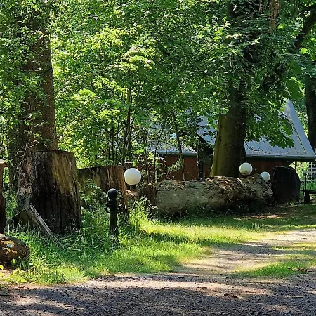 Bootshaus Froschkoenig Uebernachten Ueber Dem Weiher Appartement