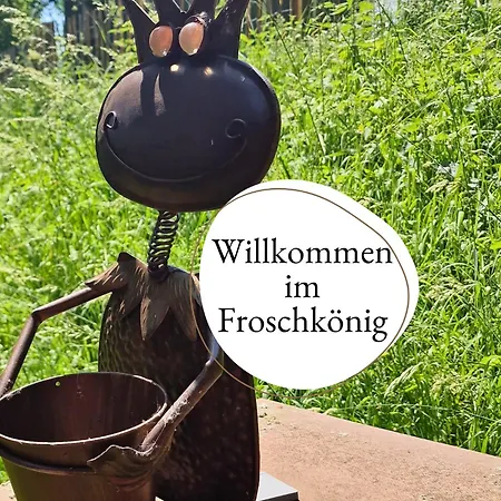 Bootshaus Froschkoenig Uebernachten Ueber Dem Weiher Appartement Hundsdorf