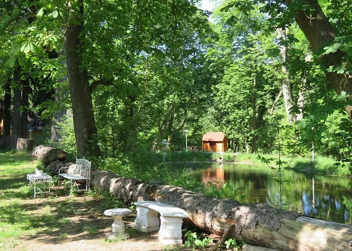 Bootshaus Froschkoenig Uebernachten Ueber Dem Weiher Hundsdorf